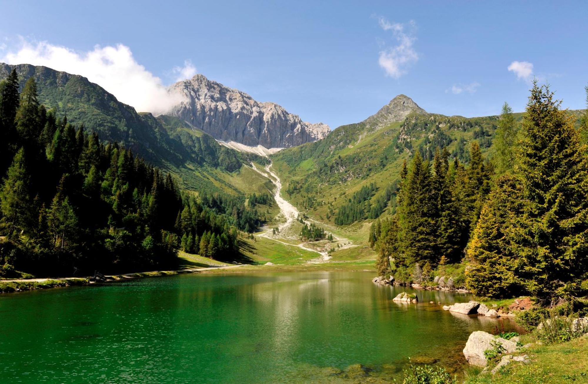 Aparthotel Garni Monte Kartitsch Dış mekan fotoğraf